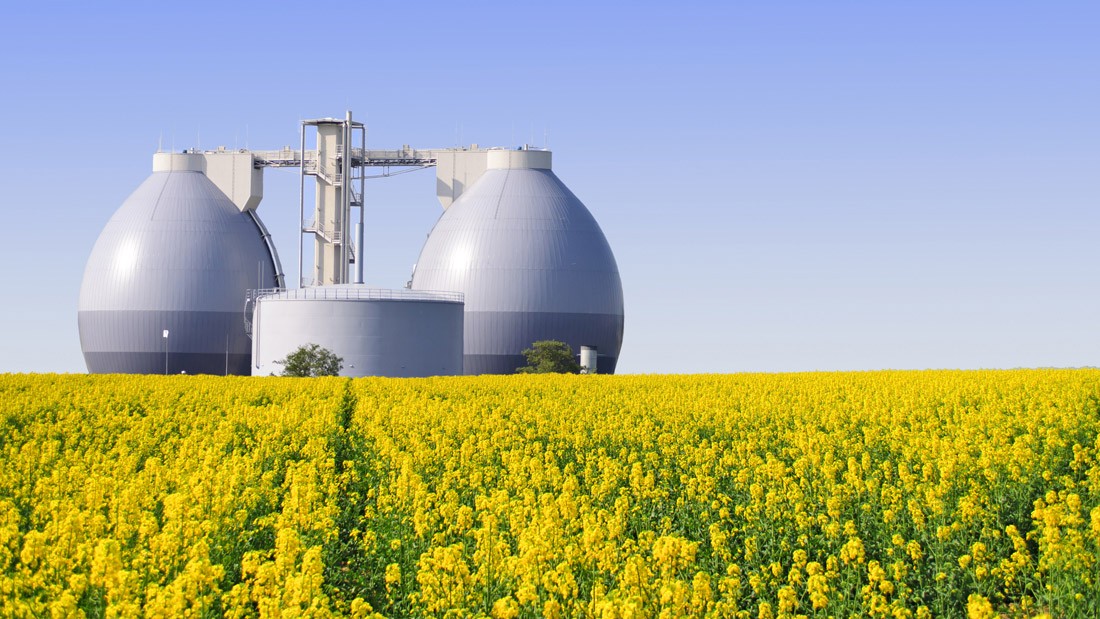 Produção de biogás: Estrume com tripla utilidade